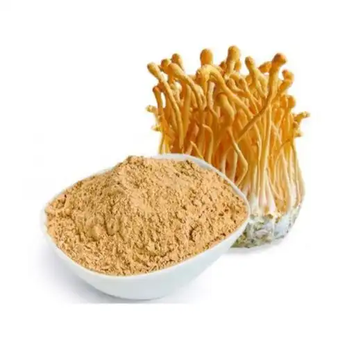 What are cordyceps militaris good for?